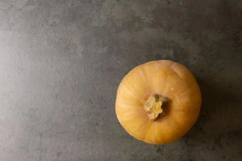 Top view of a butternut squash on gray grunge table surface: Single buttern.. Stock Photos