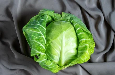 Top view cabbage on a cloth background Stock Photos