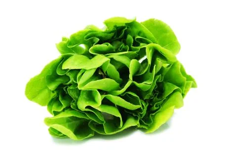 Top view of cabbage. Stock Photos
