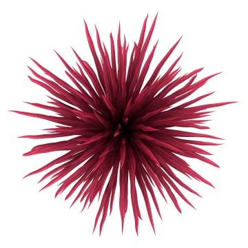 Top view of cabbage tree bush isolated on white background Illustrazione stock