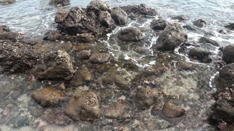 Top view of calm waves on the rocks of the beach Stock Footage 319876327