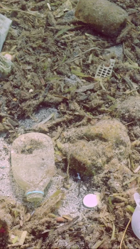Top view, Camera moves back and up over plastic debris on seabed covered with Stock Footage 309001273