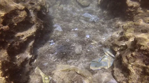 Top view, Camera moving forwards between two rocky reefs above seabed polluted Stock Footage 255113717