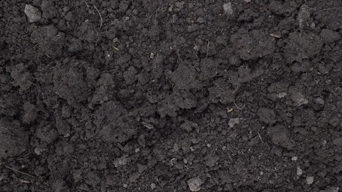 Top view. Camera slide over clean dark soil, ground at the beginning of spring Video stock 117191474