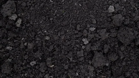 TOP VIEW. Camera slide over clean dark soil, ground at the beginning of spring Stock Footage 117347990