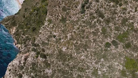 Top view of the cape with vegetation Stock Footage 240637447