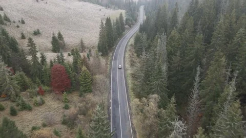 Top view, the car drives along a mountain asphalt road among the pine trees Stock Footage 147270765
