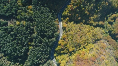 Top view of car driving on mountain road. Evergreen forest on the one side of Stock Footage 119312960
