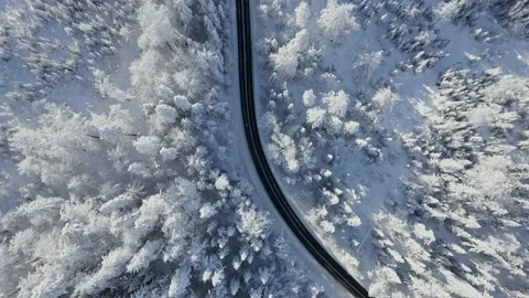 Top view of a car driving through a breathtaking snowy forest in the mountains. Stock Footage 238744504
