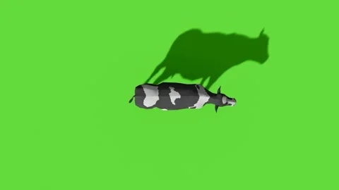 Top View Car Forward Backward Green Screen Video stock 323797096