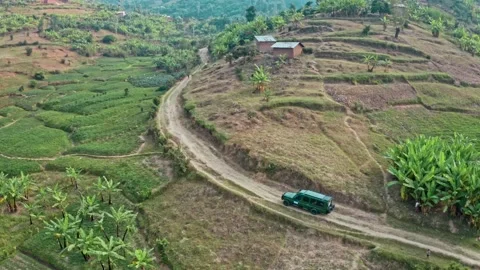 Top view of a car in the jungle Stock Footage 159231843