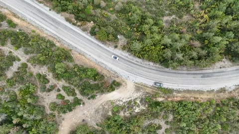Top view of a car passing through an asphalt road covered by pine tree forest. Video stock 289580423