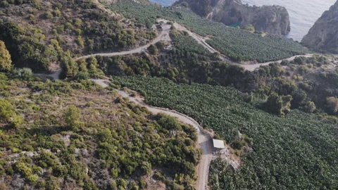 Top view of a car riding through the woods at summer day drone footage Stock Footage 130403747