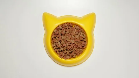 TOP VIEW: Cat meal fill a yellow dish (stop motion) Stock Footage 69809199