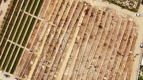 Top view of a cemetery Stock Footage 258118337