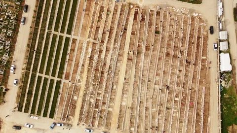 Top view of a cemetery Stock Footage 258124477