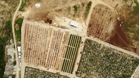 Top view of a cemetery Stock Footage 258143169