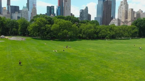 Top view of central park in new york Stock Footage