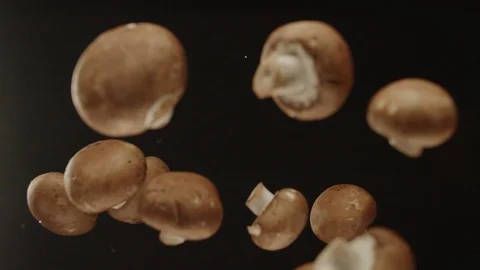 Top view champignons fly in slow motion on camera Stock Footage 116249430