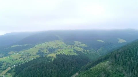 Top view to charm mountain valley and green wood Stock Footage 314897299