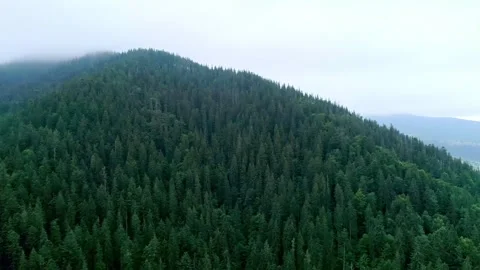 Top view to charm mountain valley and green wood Stock Footage 315862351