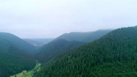 Top view to charm mountain valley and green wood Stock Footage 316466020