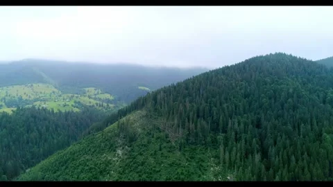 Top view to charm mountain valley and green wood, Stock Footage 316898307