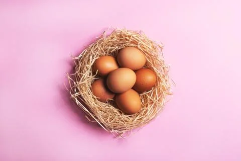 Top view of chicken eggs in a nest. Stock Photos