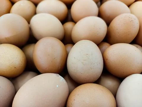 Top View Chicken Eggs Stock Photos
