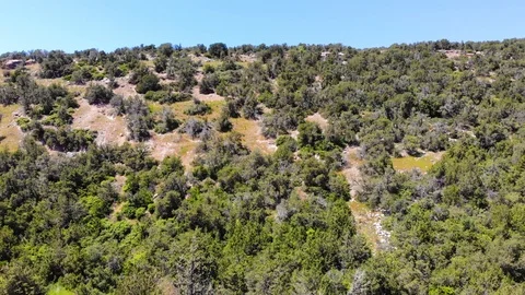 Top view cinematic flight under the European forest. Ukraine. Video stock 110857539