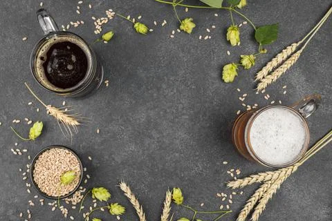 Top view circular frame with beer. High quality and resolution beautiful photo Stock Photos