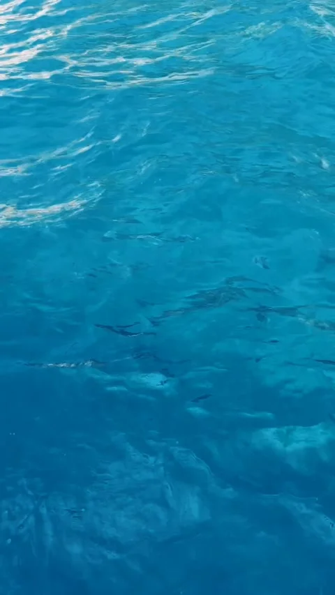 Top view of clear blue swimming pool water with sun reflections and soft ripples Stock Footage 332710148