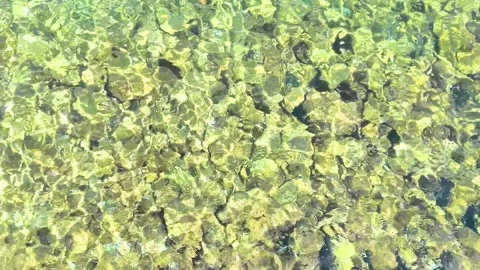 Top view of clear shallow sea water over rocky seabed Stock Footage 340533283