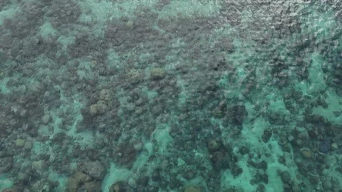 Top View of Clear Turquoise Water Over Rocky Seabed Stock Footage 332452624