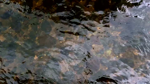 Top view of a clear water with the rocks and sand visible at the bottom Vidéo 336917126