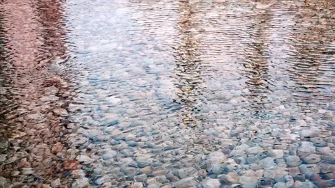 Top view of a clear wavy river with pebbles below. Nature view concept. Stock Footage 255292690
