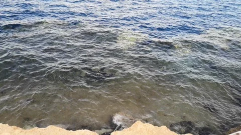 Top view from a cliff of coral reef in the Red Sea (13) Stock Footage 126608830