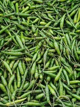 Top View Close-up of Fresh Small Green Bird's Eye Chilies Foto stock