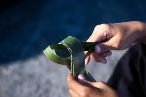Top View Close Up of Hands Assembling Curved Green Palm Leaf Structure for .. Stock Photos