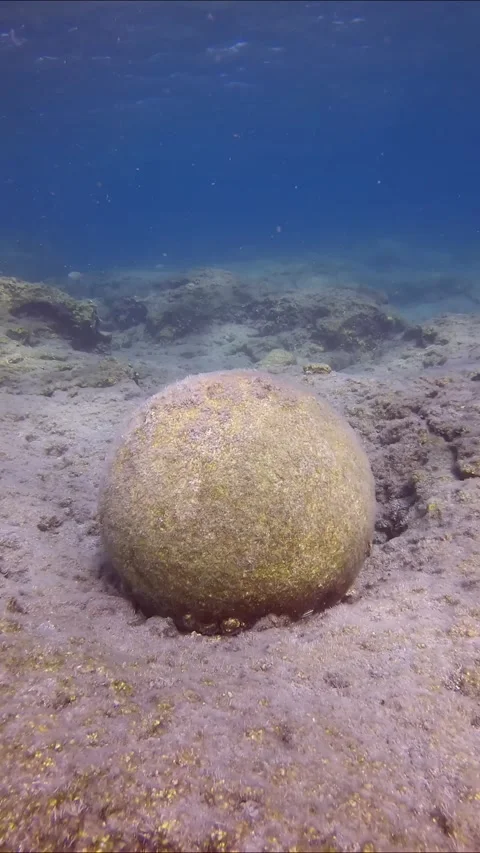 Top view, Close up of an old stone cannonball lying on rocky seabed in Stock Footage 255109165