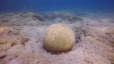 Top view, Close up of an old stone cannonball lying on rocky seabed in Stock Footage 255109184