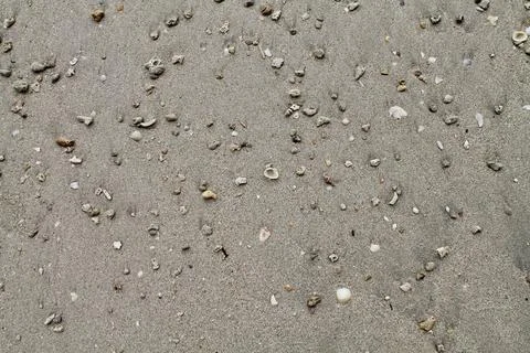 Top view Close Up of Seashells and Coral Pieces on Beach Sand Stock Photos