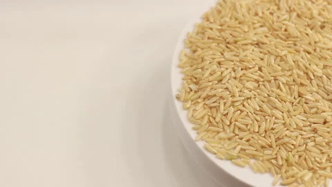 Top view close up on uncooked whole grain brown rice seeds circle rotation Stock Footage 259374047