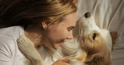 Top view of Close up very tender portrait of smiling young women huggin red dog Stock Footage 219363253