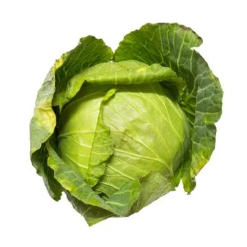 Top view of closeup cabbage on isolated white background Stock Photos