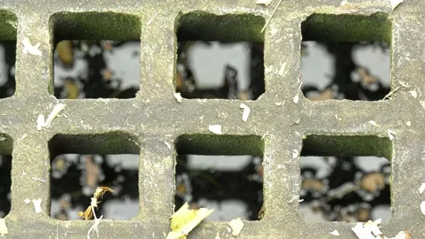 Top view closeup of grate with leaves water ripple Stock Footage 140886747