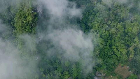 Top View of Clouds Above Lush Green Tropical Forest. Aerial Stock Footage 89314413