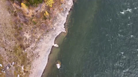 Top view of the coast of a stormy mountain river, rocky coast, coniferous forest Video stock 147241787