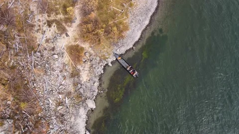 Top view of the coast of a stormy mountain river, rocky coast, coniferous forest Video stock 147241796