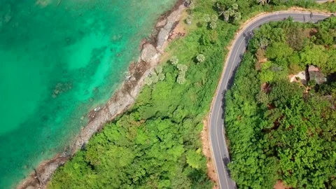 Top view of coastline with birch water and Road Stock Footage 161562516